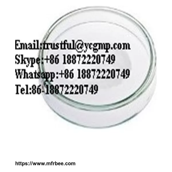 AMPICILLIN