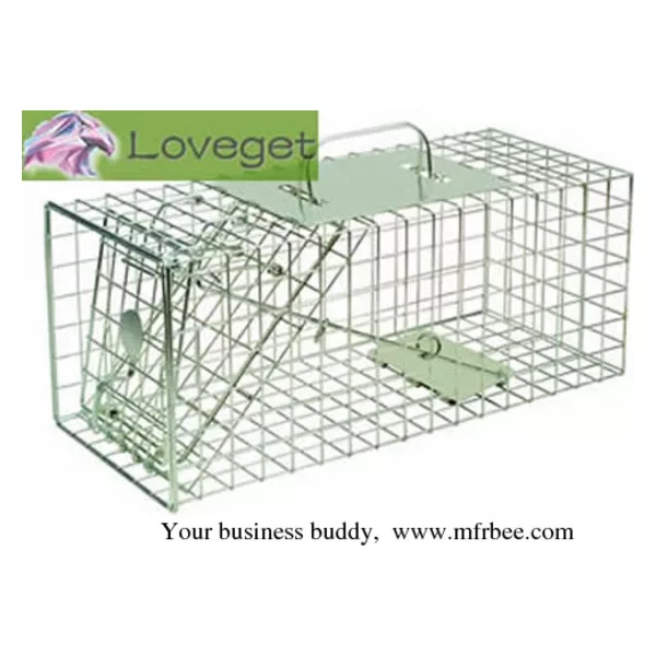 Squirrel Traps