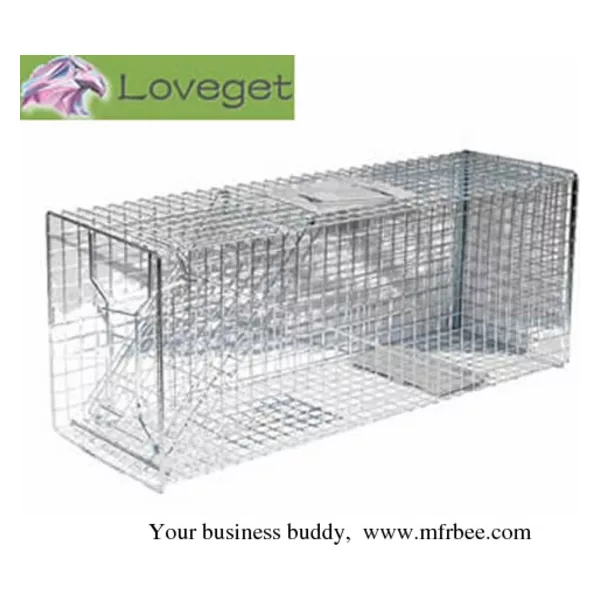 Raccoon Traps