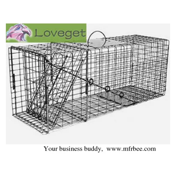Feral Cat Traps