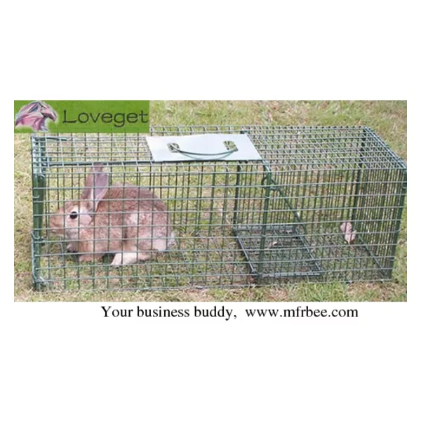 Rabbit Traps