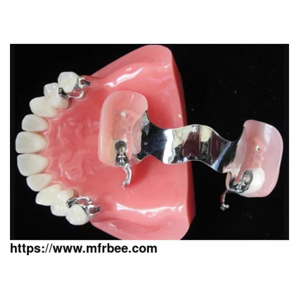 China Dental Lab Manufacturer, Crown Bridge, Denture Supplier
