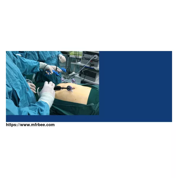 Minimally Invasive Surgical Instruments