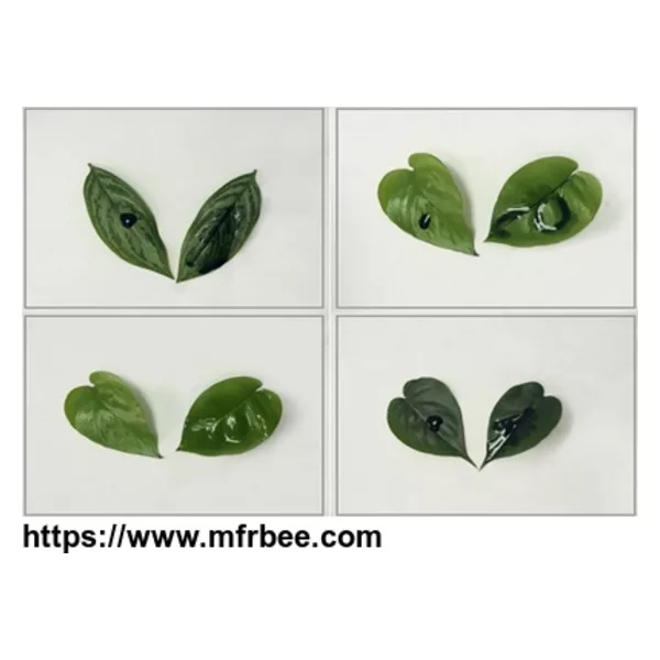Silicone Agricultural Adjuvant RJ-7033