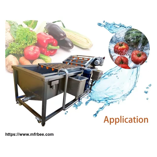 Vegetable and Fruit Washing Machine