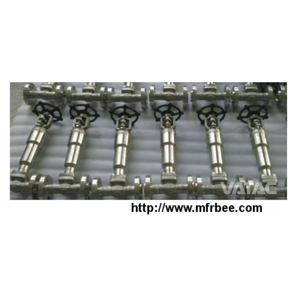 Cryogenic Globe Valve