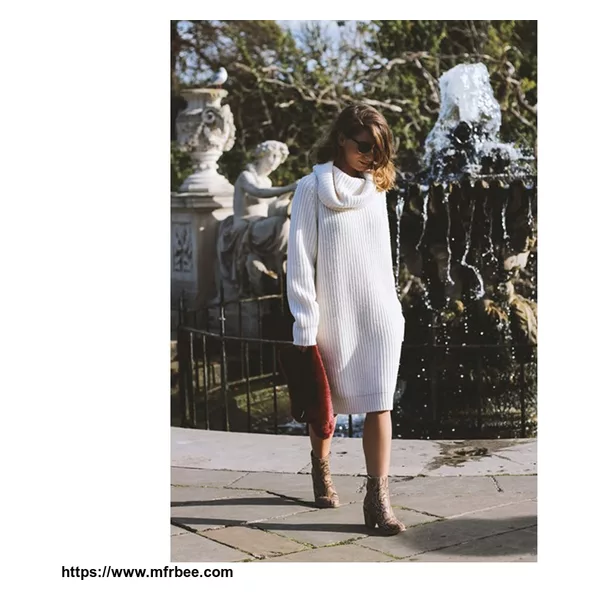 Citizen Cashmere Cowl Neck Dress