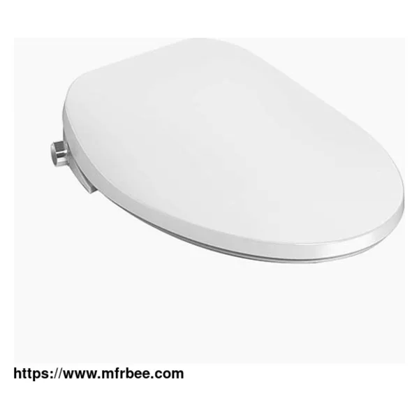 Self-Cleaning Bidet Toilet Seat
