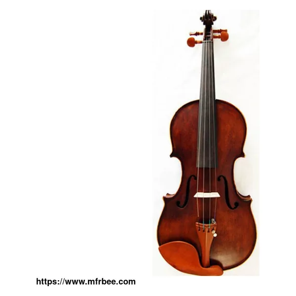 Beginner Violin