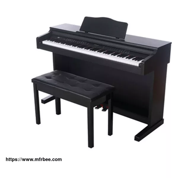 Electric Piano / Digital Piano