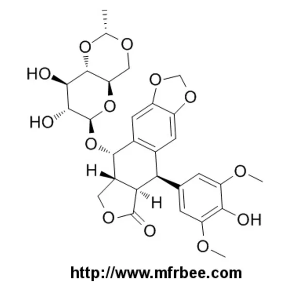 Etoposide (Cas No.: 33419-42-0)