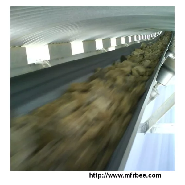 Oil Resistant Conveyor Belt