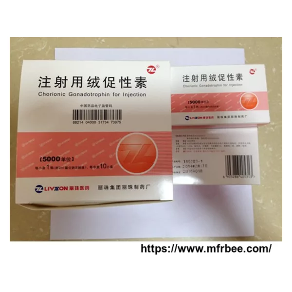 HCG  Human Chorionic Gonadotropin