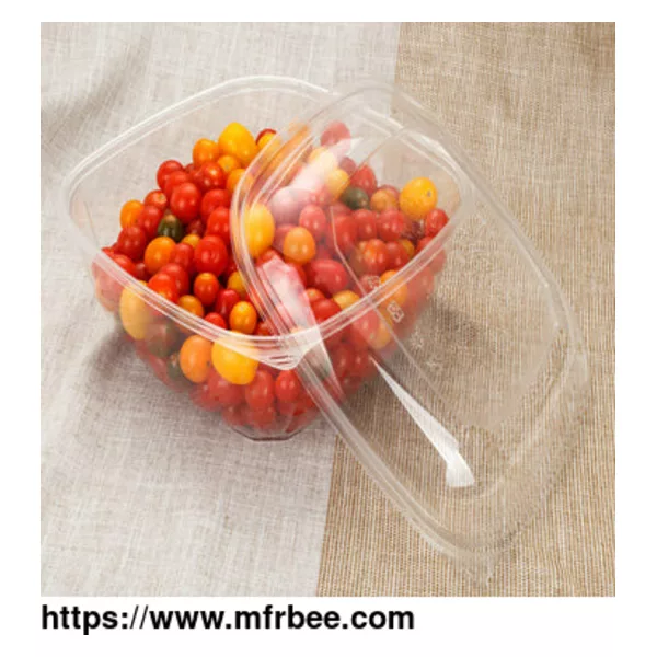 Disposable Clear Bowl