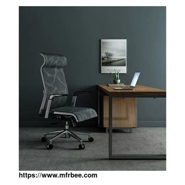 Sihoo Office Chair