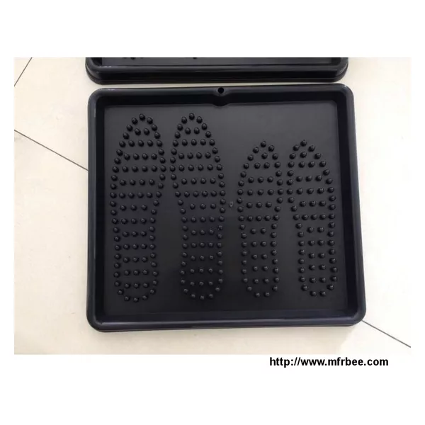 The Palstic Boot Tray For 2 Shoes