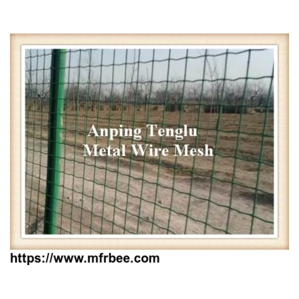 Wire Mesh Fence/Welded Mesh Fence/Metal Wire Fencing