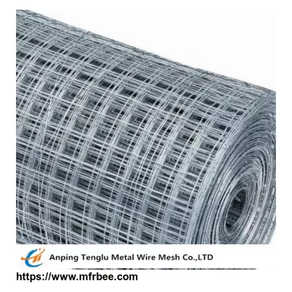 Galvanized Wire Mesh