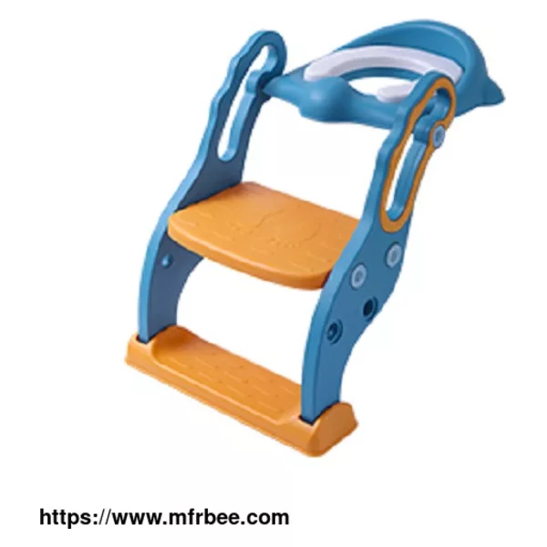 Potty Seat with Ladder