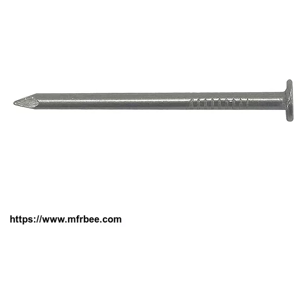 2" common steel round  head nails