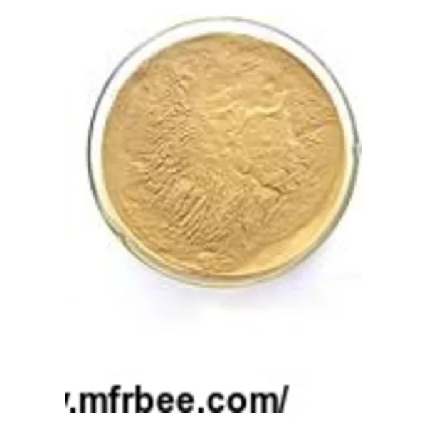 Ginger Extract