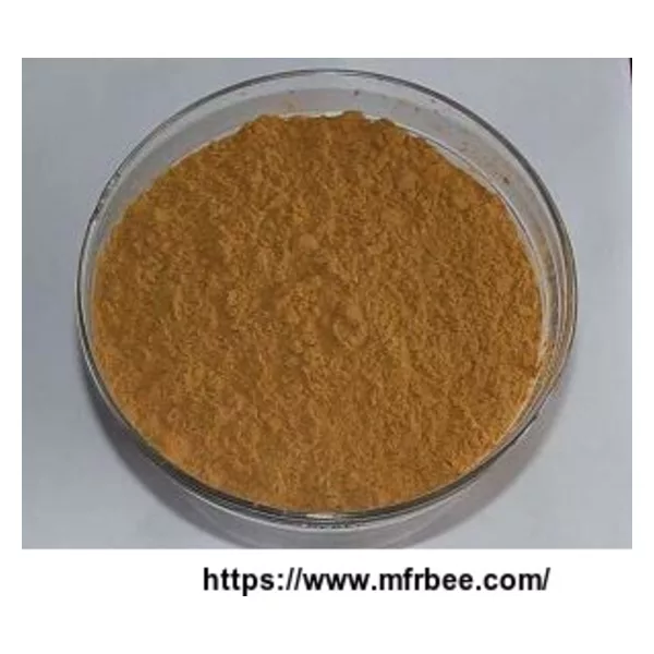 Chinese Angelica Extract