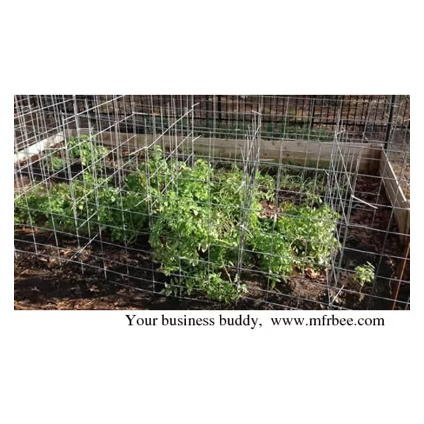 Tomato Ladders