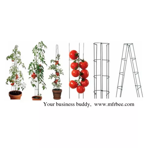 Tomato Stakes