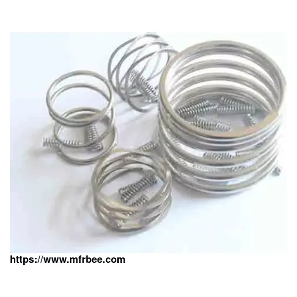 Seal Spare Parts Spring