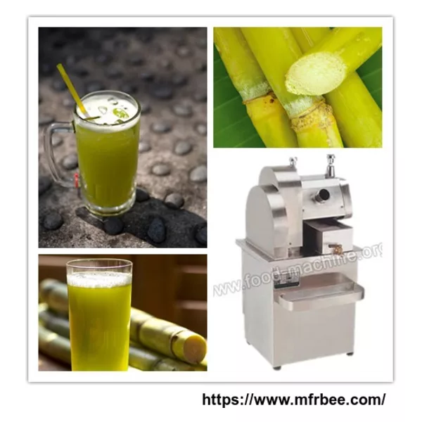 Vertical Sugarcane Juice Extractor