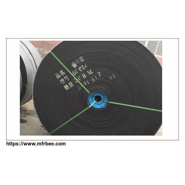 Nylon Conveyor Belt