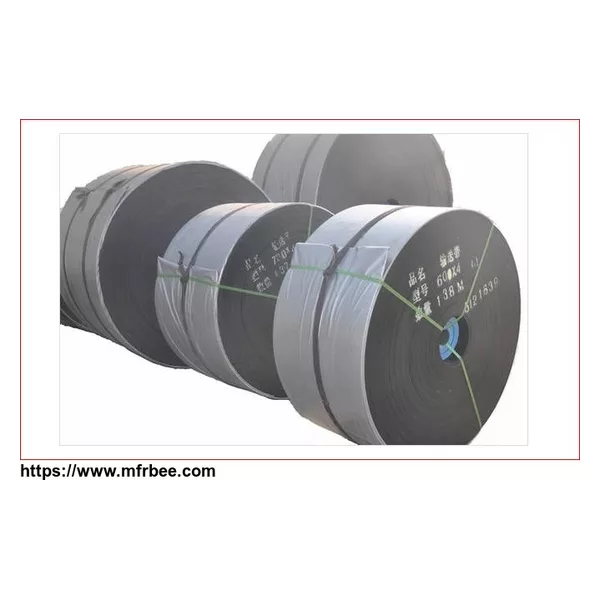 Polyester Conveyor Belt