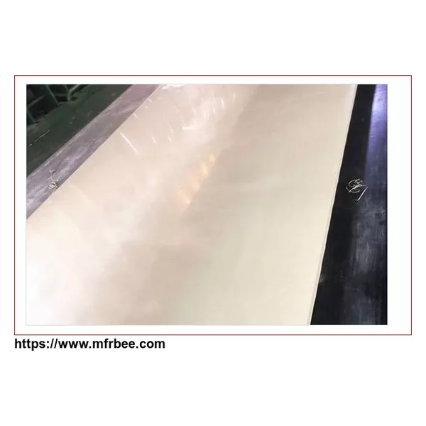 Food Conveyor Belt