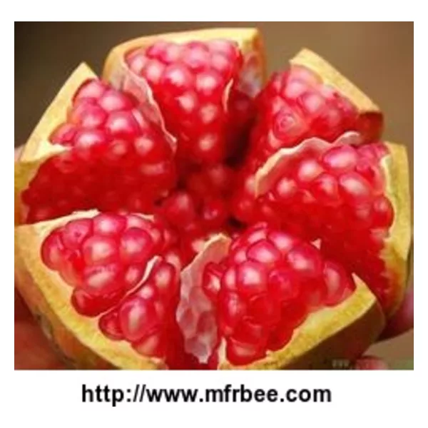 Organic Pomegranate Fruit Powder