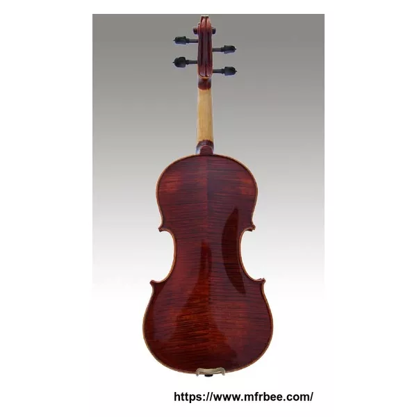 Middle grade violin