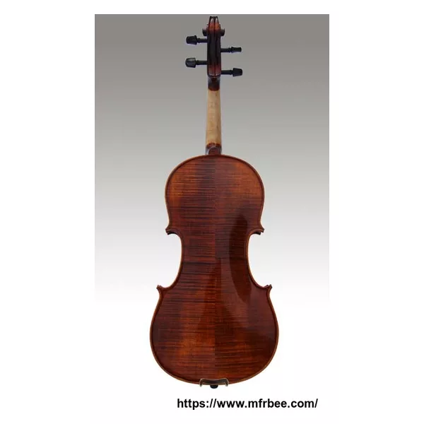 Middle grade violin