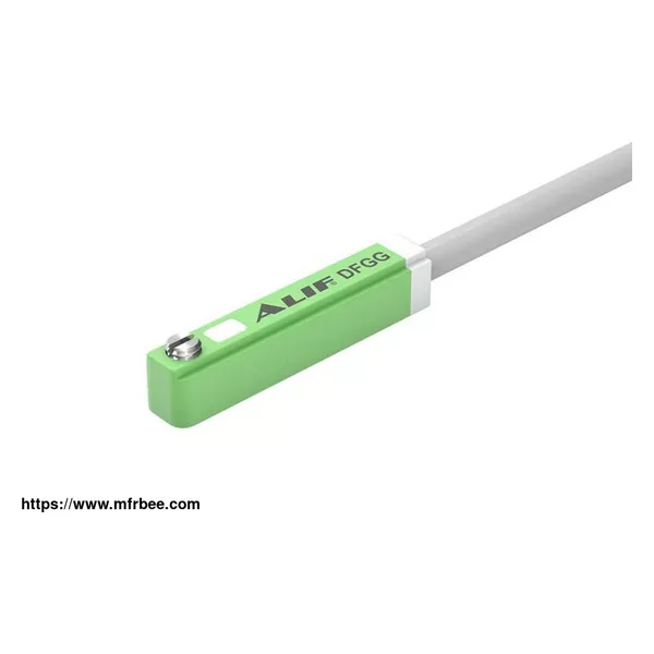 DFGG Magnetic Cylinder Sensor