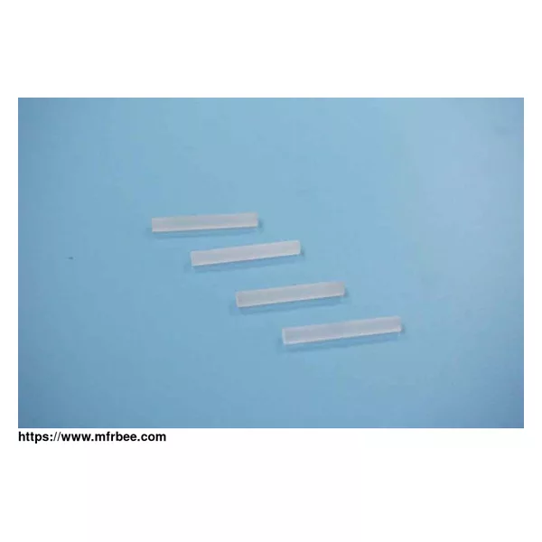 Endoscope Rod Lens