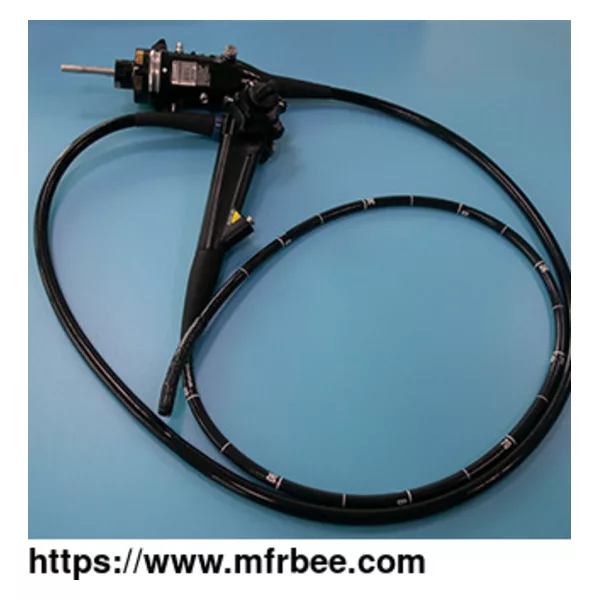 Flexible Endoscopy
