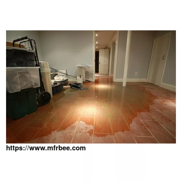 Hialeah Restoration Expert