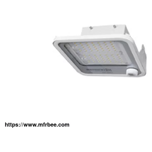LED Canopy Light