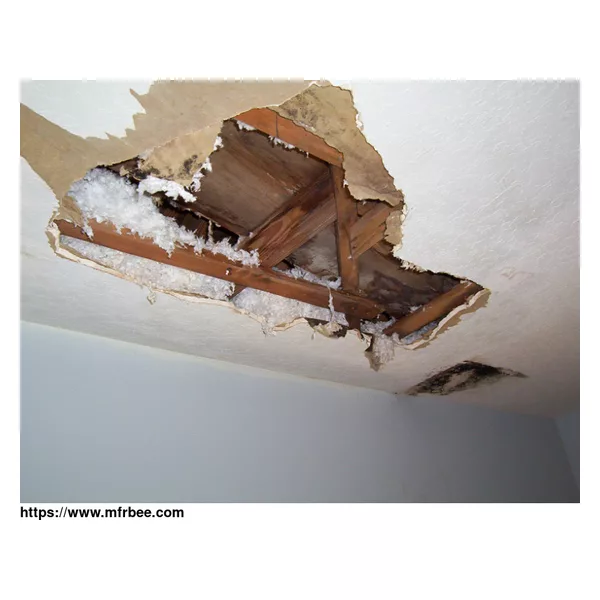 Miami Beach Restoration Expert