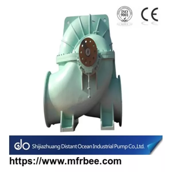 Double Suction Pump