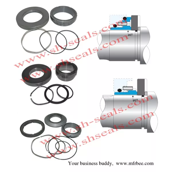 Waukesha pump seals