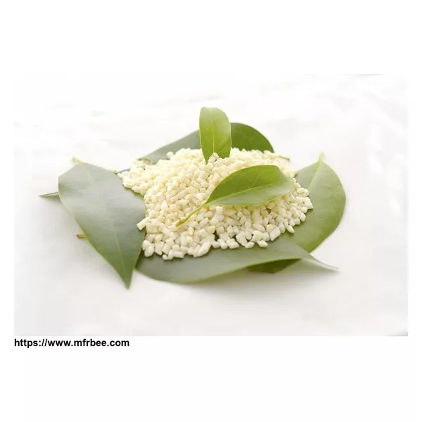 Biodegradable Plastic Resin