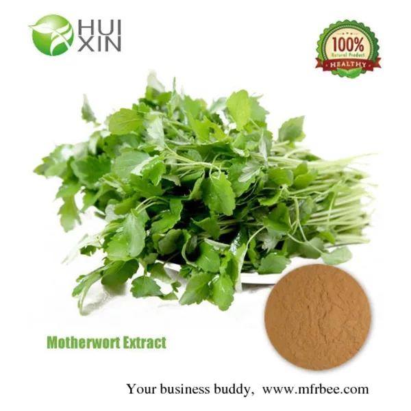 Motherwort Extract