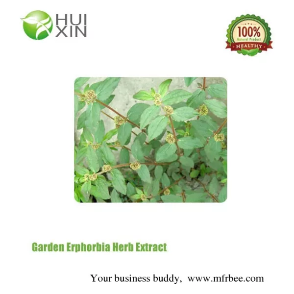 Garden Erphorbia Herb Extract
