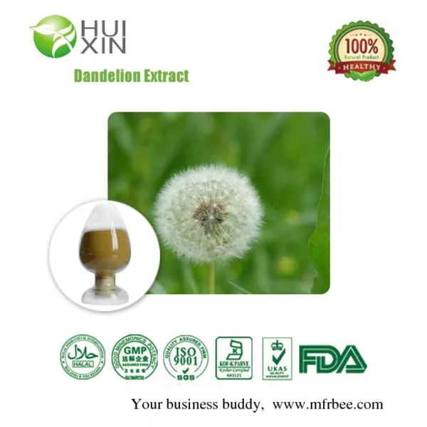 Dandelion Extract
