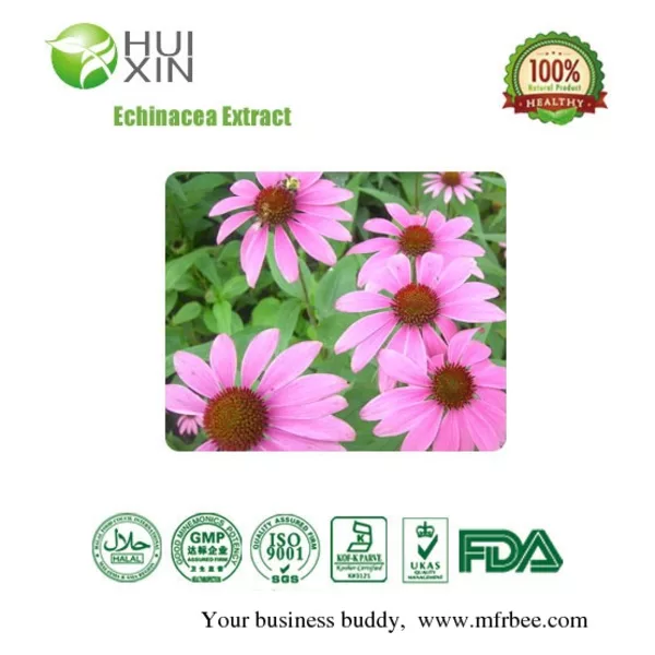 Echinacea Extract