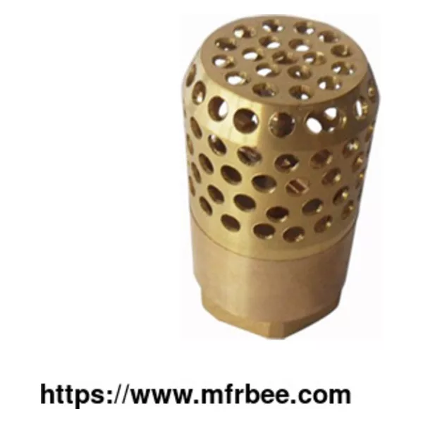 Plastic Foot Valves